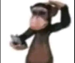 Sticker meme monyet liat hp bingung - Download PNG di Doksli