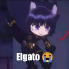 Sticker meme elgato - Download PNG di doksli.site