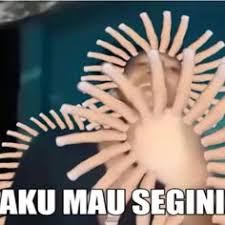 Sticker meme aku mau segini - Download PNG di doksli.site