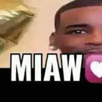 Sticker meme MIAW - Download PNG di doksli.site