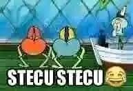 Sticker meme stecu stecu😂 dengan hashtag #spongebob - Download PNG gratis di Doksli