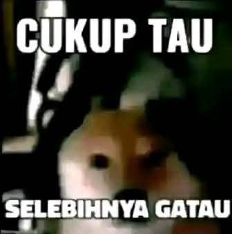 Sticker meme cukup tau, selebihnya gatau - Download PNG di Doksli